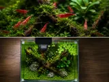 Nano Shrimp Garden 30L