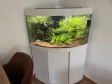 Mein erstes großes Aquarium - Juwel Trigon 190