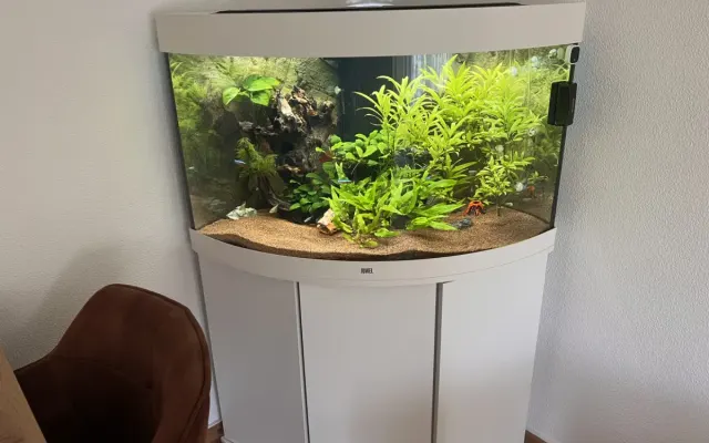 Mein erstes großes Aquarium - Juwel Trigon 190