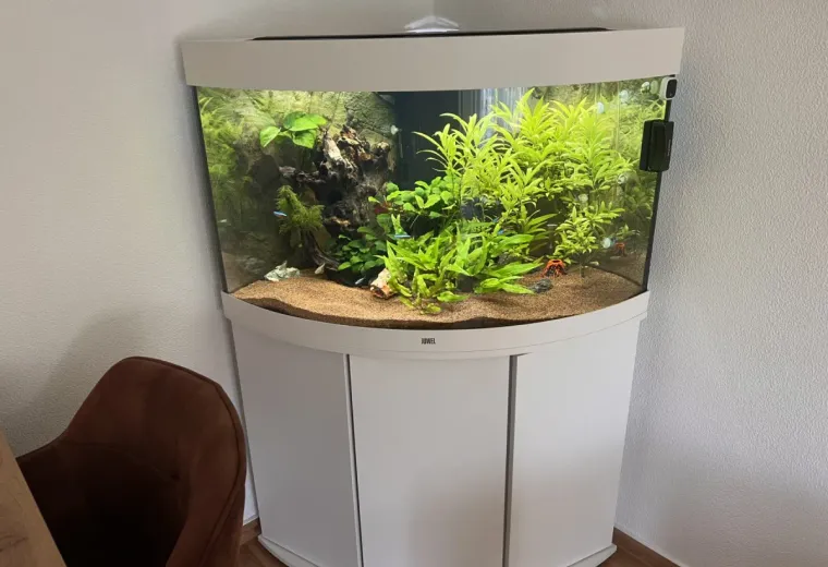Mein erstes großes Aquarium - Juwel Trigon 190