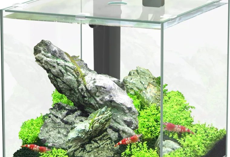 Aquatlantis Kubus 15 L LED Aquarium Set