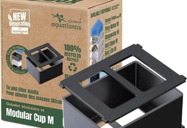 Aquatlantis Modular Cup für B-Box, M