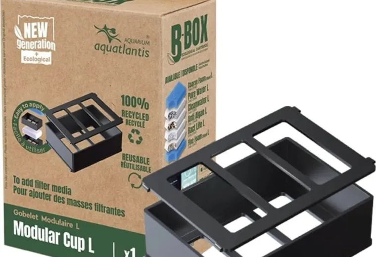 Aquatlantis Modular Cup für B-Box, L