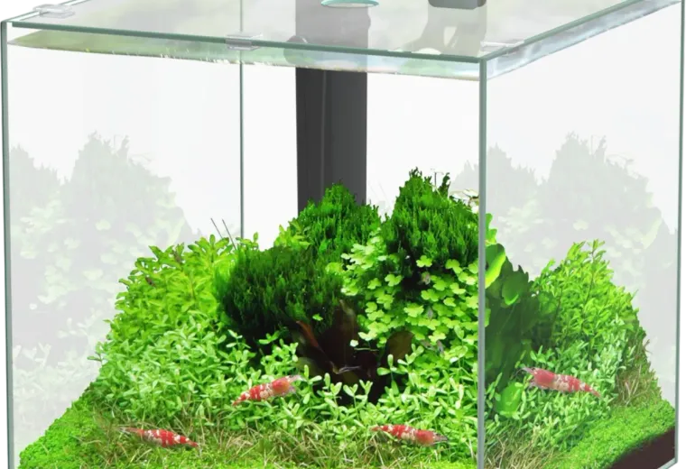 Aquatlantis Kubus 33L LED Aquarium Set
